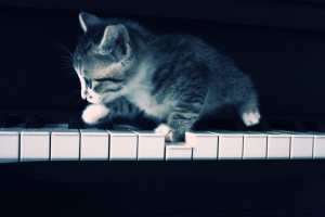 Cat_who_play_the_piano_by_gnce